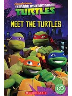 Meet the Turtles! 