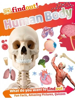 Human Body
