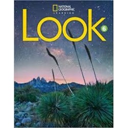 Look Level 6 BrE Workbook