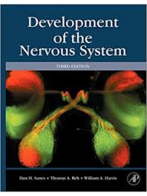 Development of the Nervous System