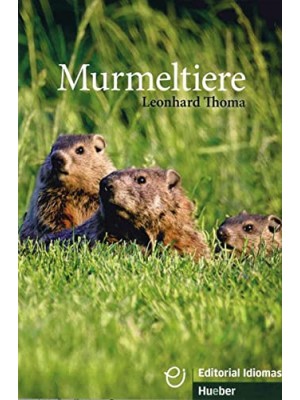 Murmeltiere